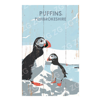 PMBB 3219 Puffins - Penbrokeshire - Betty Boyns - Picture