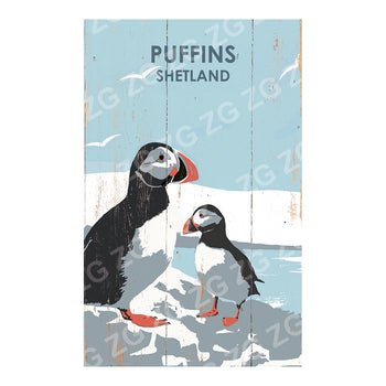 PMBB 3231 Shetland Puffins - Betty Boyns - Picture