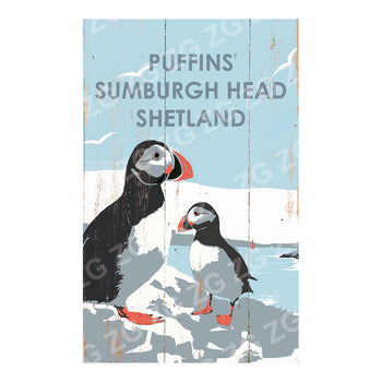 PMBB 3237 Puffins Sumburgh Head Shetland - Betty Boyns - Picture