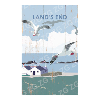 PMBB 3472 Land's End Seagull - Betty Boyns - Picture