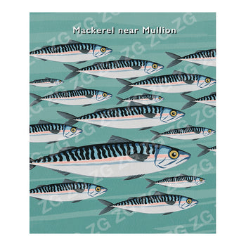 CPS 002 Mullion Mackerel near  - Picture