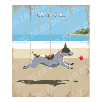 CPS 035 Dog running on beach/ball Cornwall - Picture